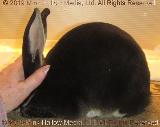 lilot2019-06-27-17-06-11_wm.jpg lilot2019-06-27-17-06-11_wm.jpg