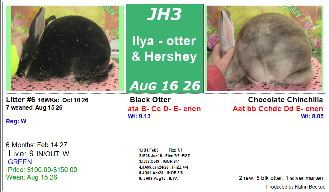 litter-jh3.png litter-jh3.png