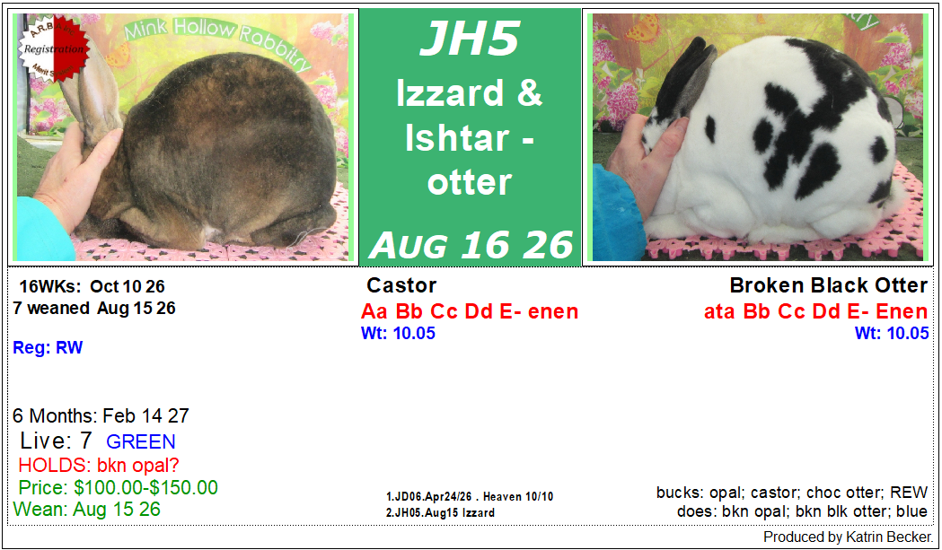 litter-jh4.png litter-jh4.png