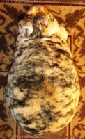 smee-2019-05-20-10-13-43_wm.jpg