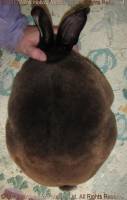 jonsey-2017-05-25_17-19-06_wm.jpg
