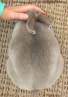 zephyr-2016-08-24_17-47-49_wm.jpg
