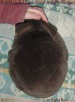 yic1-2016-12-30_18-31-01_wm.jpg