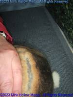 gbp1-2023-06-14-13-59-44_wm.jpg