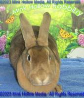 winny-2023-05-18-15-08-11_wm.jpg