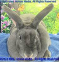 eowyn-2023-05-18-15-03-34_wm.jpg