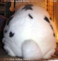 buzz-2018-06-10-17-39-52_wm.jpg