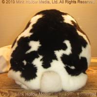 cloak-2019-11-02-18-28-47_wm.jpg