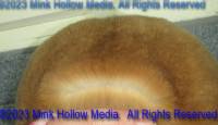 flr3-2023-05-07-14-52-17_wm.jpg