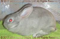acc1-2017-05-06_16-25-03_wm.jpg
