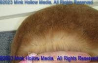 flr1-2023-05-07-14-44-46_wm.jpg