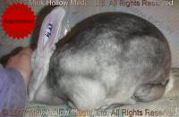 0-main.jpg