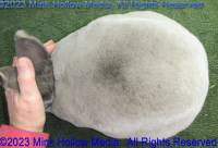 gisela-2023-09-27-13-34-44_wm.jpg