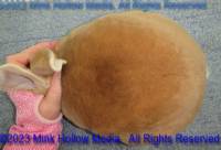 flr3-2023-05-07-14-51-28_wm.jpg