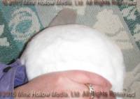 wee-cal-2015-10-04_15-00-47_wm.jpg