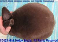 gavin-2023-07-17-11-59-41_wm.jpg