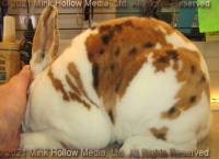 dirk-2021-04-13-17-43-15_wm.jpg