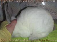 acc4-2017-05-06_16-28-41_wm.jpg