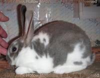 afe2-2017-08-14-19-36-31_wm.jpg