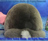 eowyn-2023-05-18-15-03-20_wm.jpg