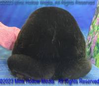 siggy-2023-05-18-15-14-09_wm.jpg