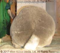 zippity-do-2017-01-21_17-43-14_wm.jpg