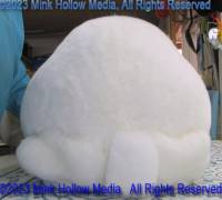 fiby-2023-03-27-13-13-52_wm.jpg