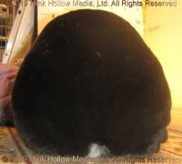 cerebra-2019-09-28-17-46-56_wm.jpg