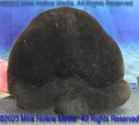 frozone-2023-05-19-14-48-13_wm.jpg