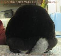 siggy-2022-11-30-18-07-01_wm.jpg