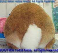 flr3-2023-05-07-14-51-43_wm.jpg