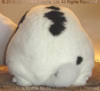 cancon-2019-06-23-17-14-21_wm.jpg