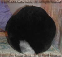 winnie-2015-12-13_18-02-47_wm.jpg