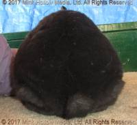 ajb2-2017-12-16-14-18-42_wm.jpg