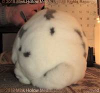 bbg1-2018-05-08-14-14-18_wm.jpg