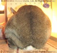 bca-2018-05-08-14-18-57_wm.jpg