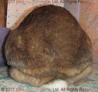 yla2-2017-04-16_17-15-19_wm.jpg