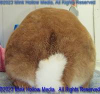 flr1-2023-05-07-14-44-05_wm.jpg