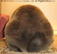 wingnut-2019-11-01-16-52-32_wm.jpg