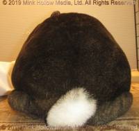 conina-2019-11-02-18-07-19_wm.jpg
