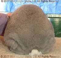 ajb4-2017-12-16-14-20-20_wm.jpg