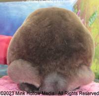 rowlf-2023-11-05-19-41-20_wm.jpg