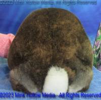 winny-2023-05-18-15-07-57_wm.jpg