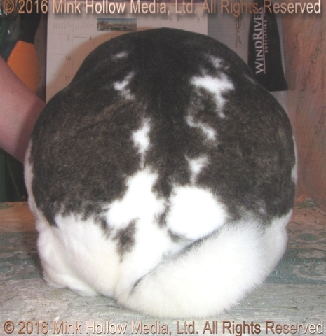 2016-08-03_18-48-03_wm.jpg