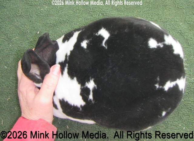 horton-2024-11-01-10-25-15_wm.jpg
