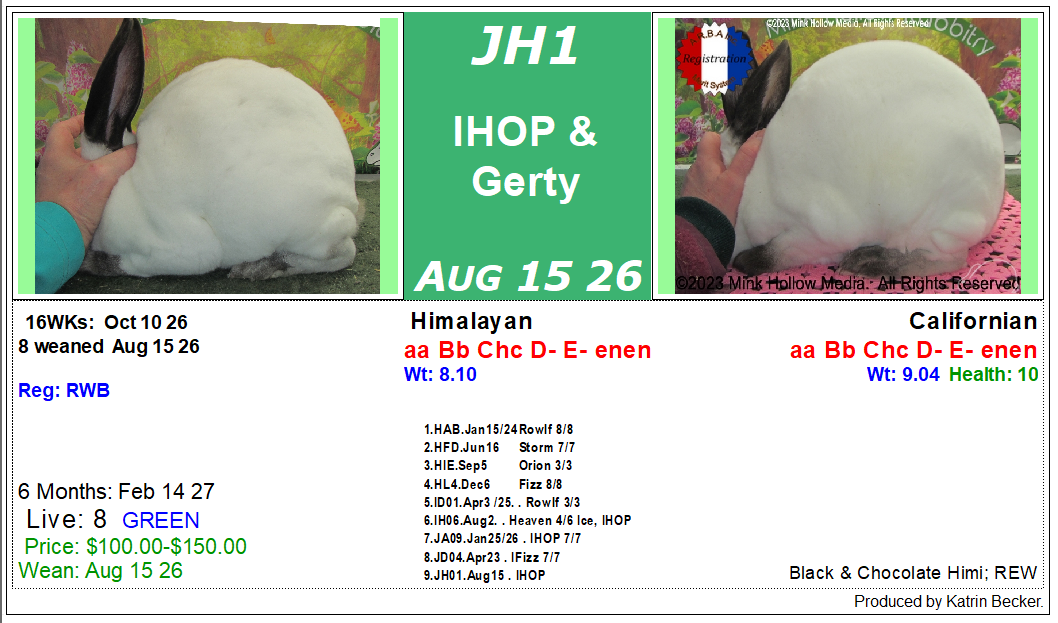 litter-jh1.png